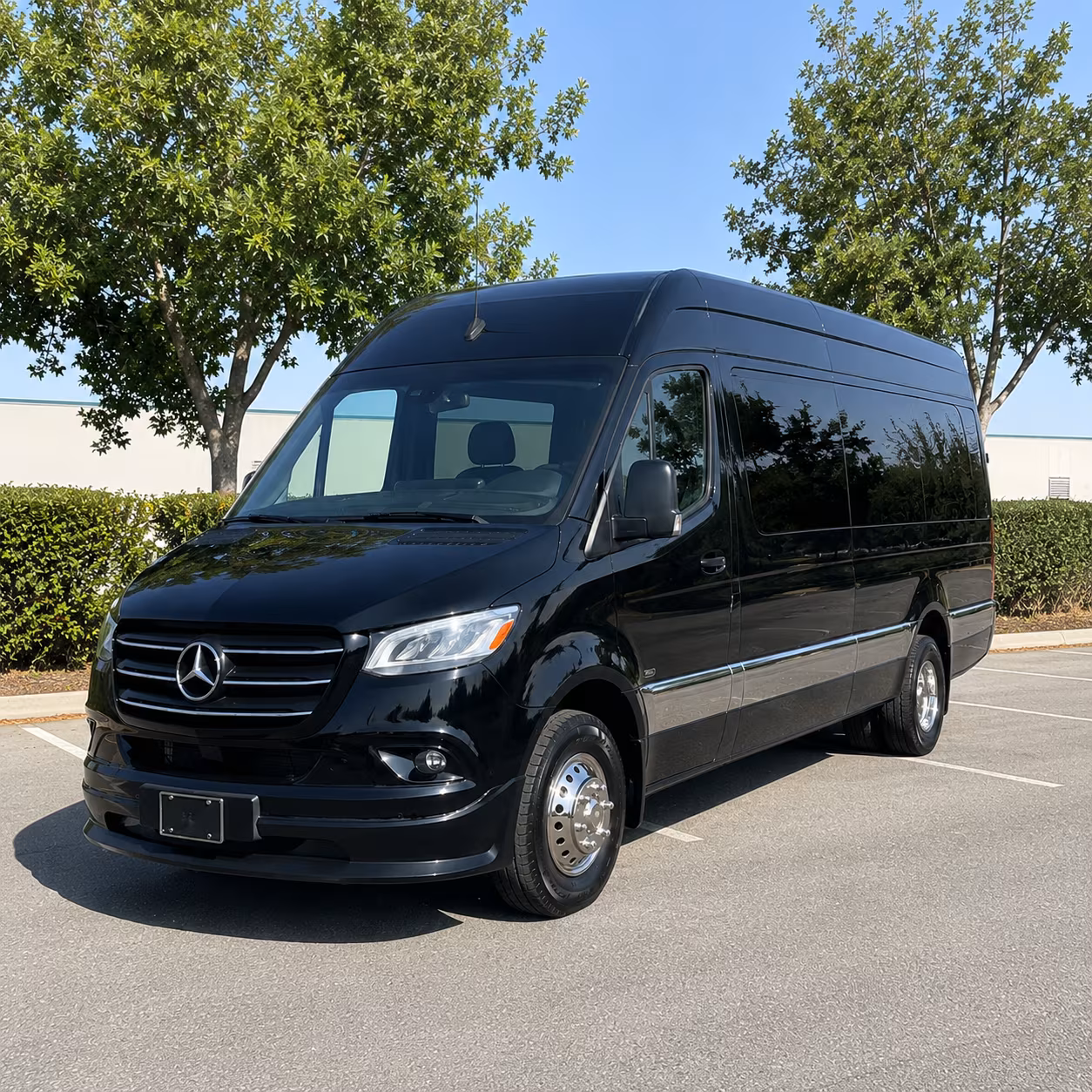salinas 12 passenger sprinter van