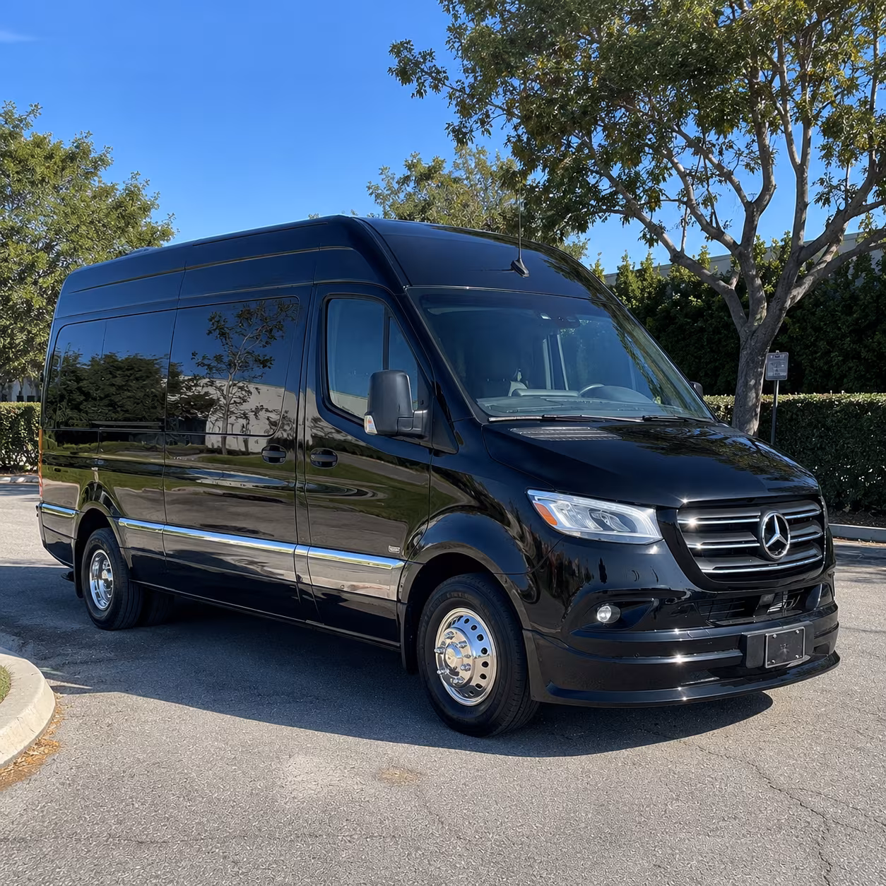 salinas 15 passenger sprinter van