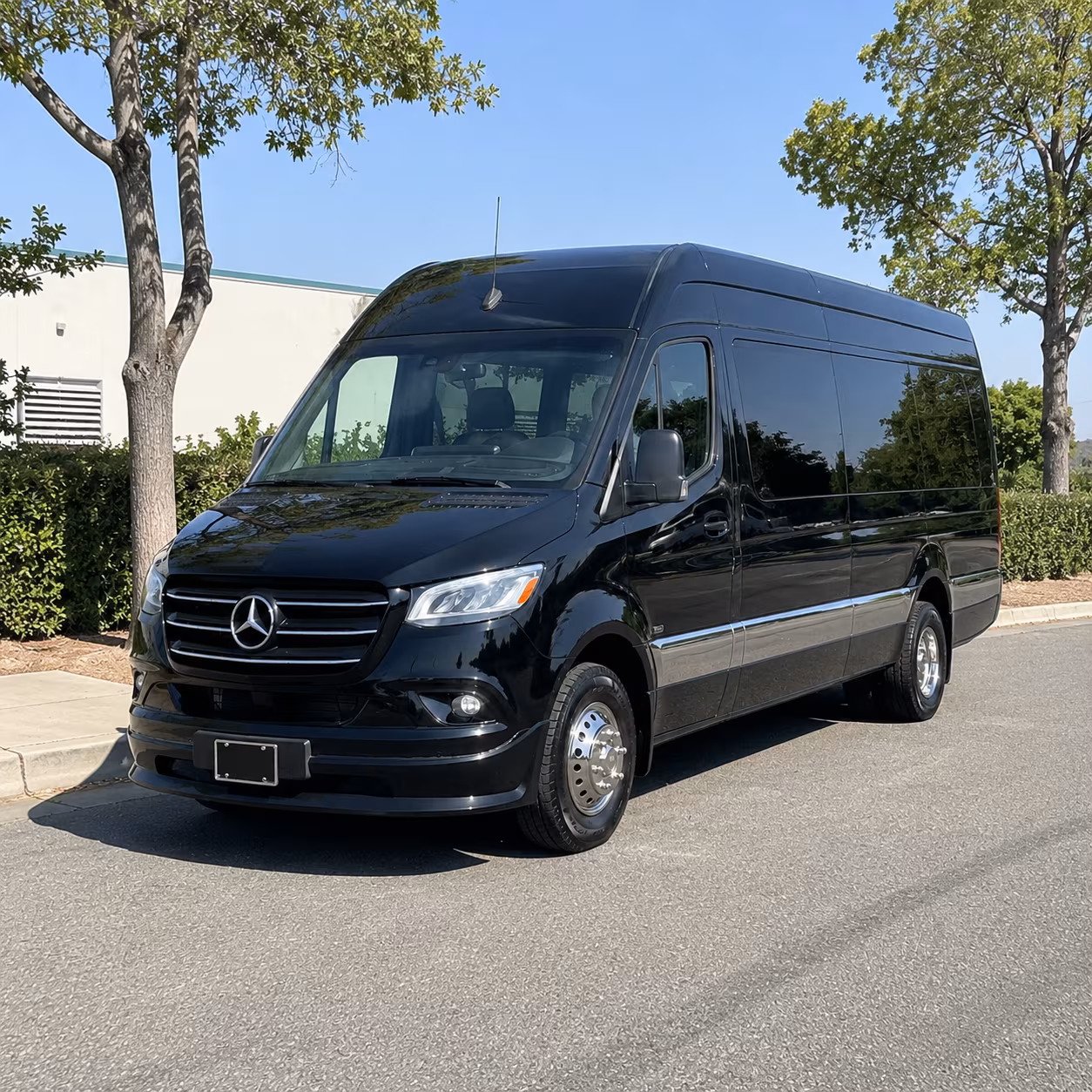 salinas sprinter van rentals for youth sports travel teams and youth tournaments